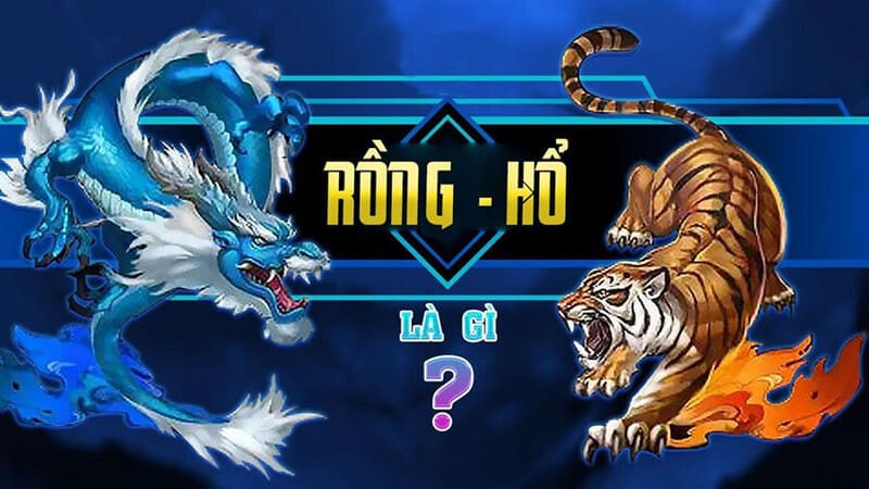 Cách chơi bài Rồng Hổ Hướng dẫn chi tiết để chiến thắng dễ dàng