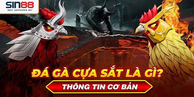 da ga cua sat tat tan tat nhung dieu can biet 69f820b091a8c