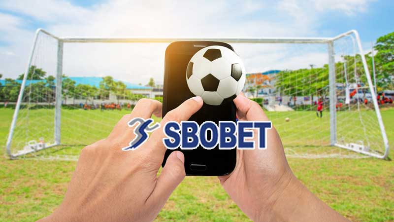 sanh the thao sbo gioi thieu va cac huong dan chi tiet 69f9678dda6ae