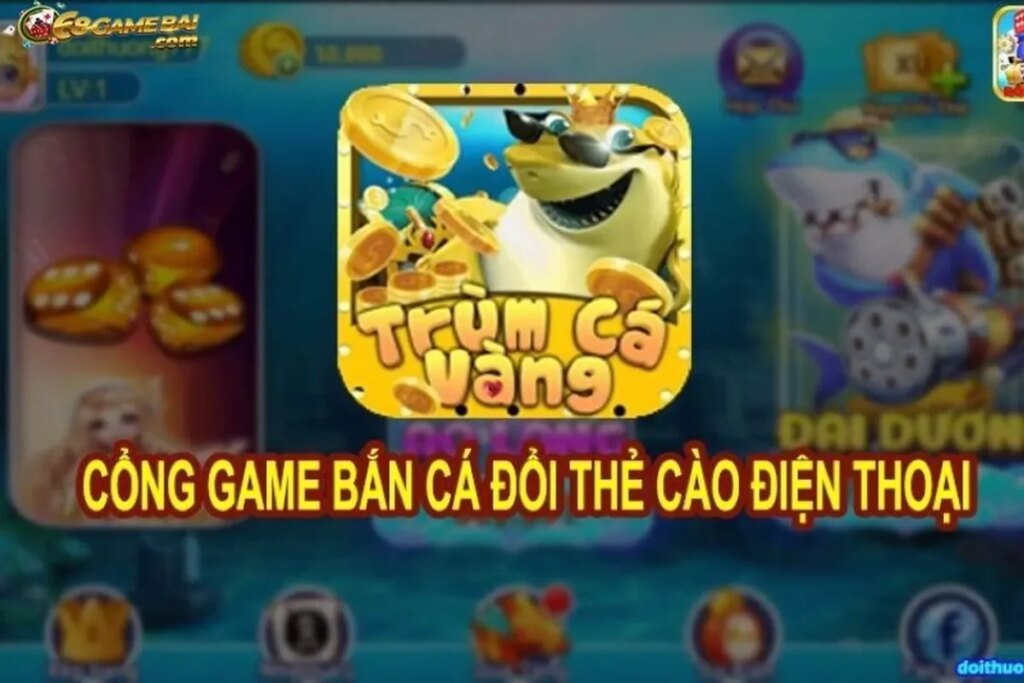 Trùm Cá Vàng Khám Phá Thế Giới Cá Cược Trực Tuyến Đỉnh Cao 1 trum ca vang kham pha the gioi ca cuoc truc tuyen dinh cao 69f823bea39cd