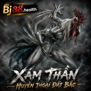 Xam than1