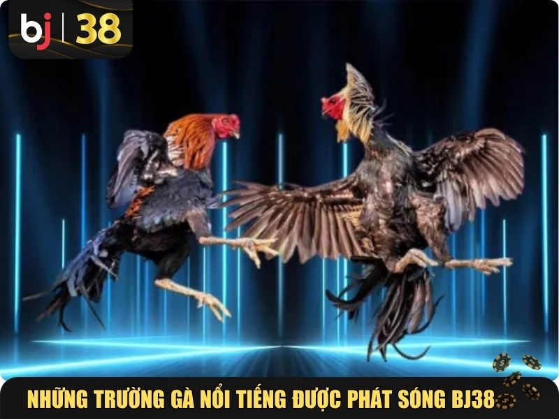 Những trường gà nổi tiếng được phát sóng tại BJ38