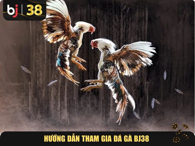 Hướng dẫn tham gia đá gà BJ38 dành cho người mới
