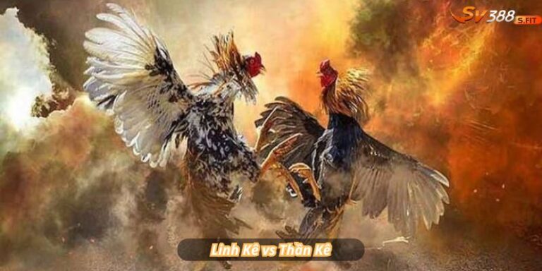 Giải Mã Thần kê - Linh Kê- Quỷ Kê - Chia sẻ từ Sư Kê Bj38