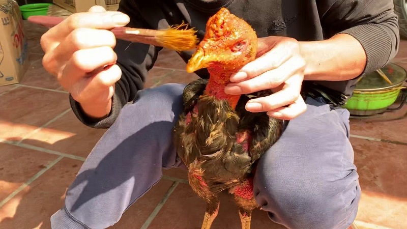 Quy trình om bóp gà đá BJ38