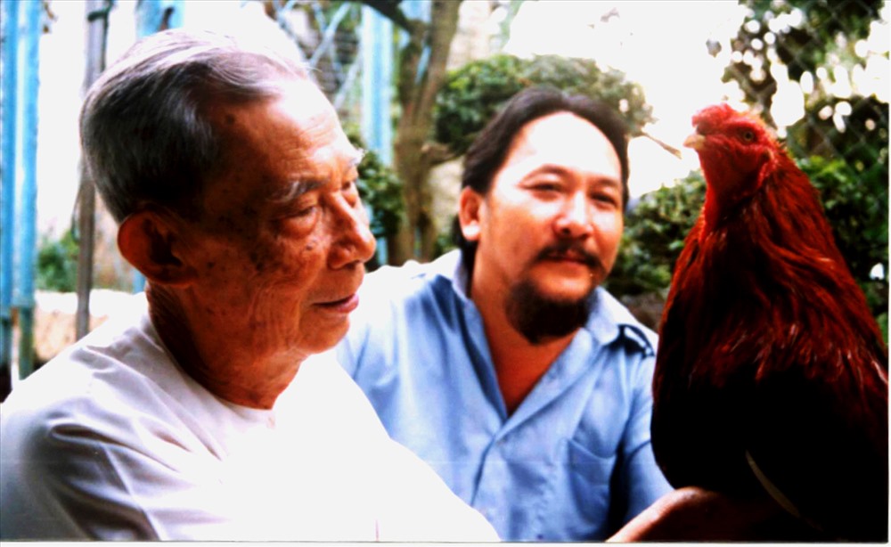 Cho gà đá ăn gì để tăng cân dáng khoẻ