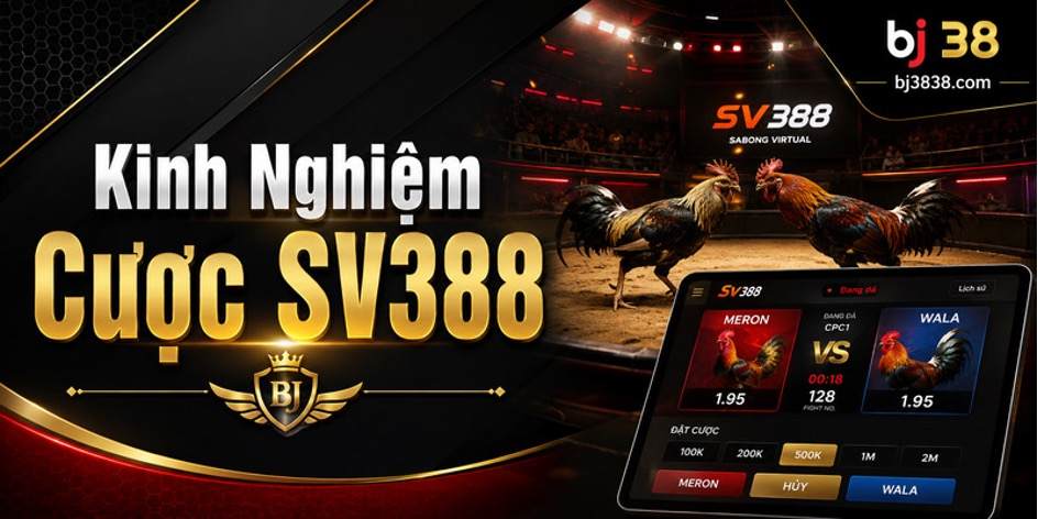 Sảnh Đá Gà SV388 Là Gì? Tổng Quan Trải Nghiệm 4 Sai lầm thường gặp
