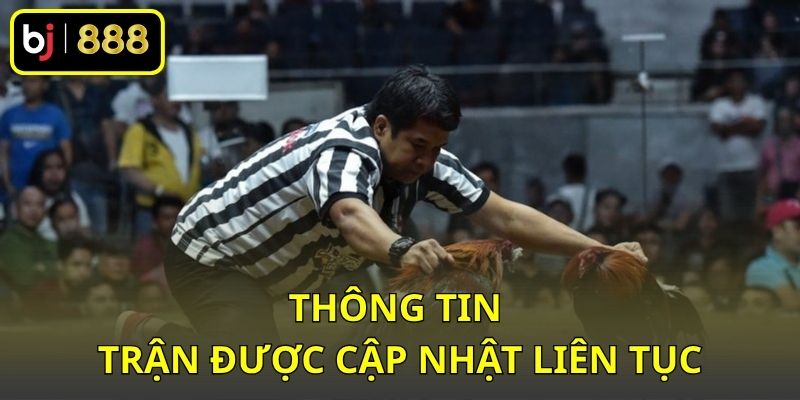 Thông tin trận được cập nhật liên tục