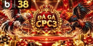 Cách theo dõi trận đá gà CPC3